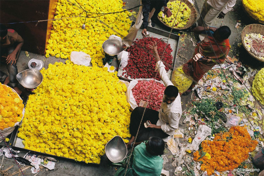 Bengalore