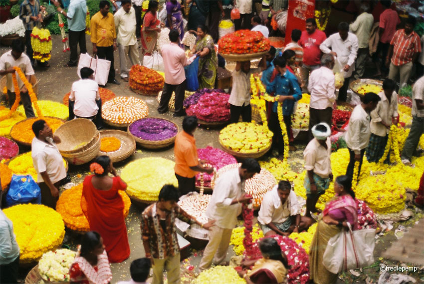 Bengalore