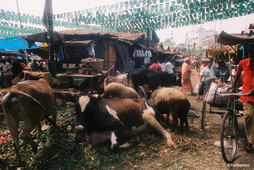 Hyderabad