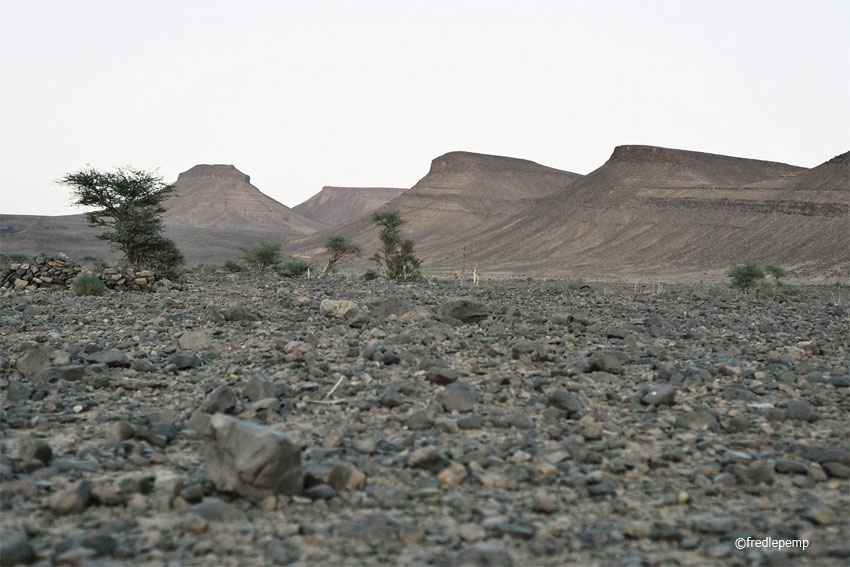 Maroc