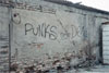 punks not dead